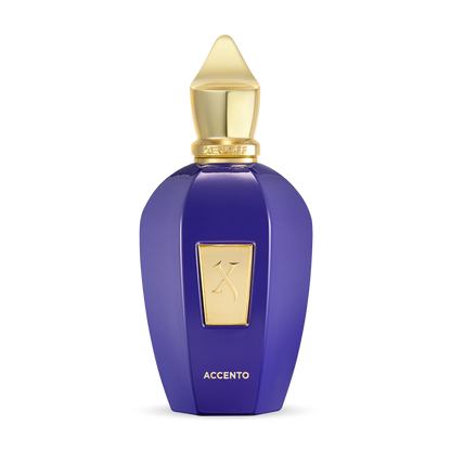Perfume Xerjoff Accento Eau de Parfum Unissex 100 ML - ByDunky - Store