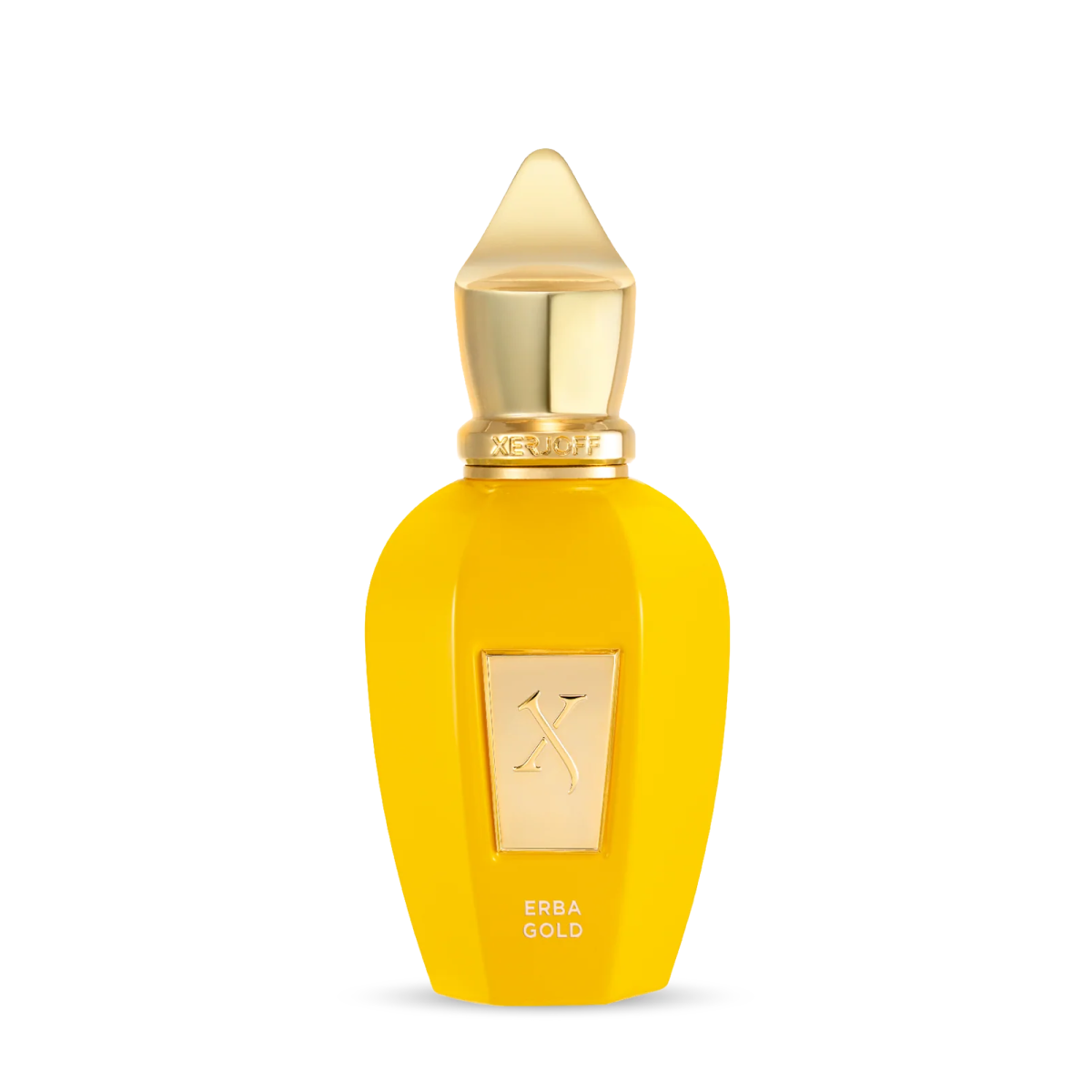 Perfume Xerjoff Erba Gold Eau de Parfum Unissex 100ML - ByDunky - Store